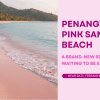 Dreamy pink sand beach – a new travel spot to visit on your Singapore to Penang trip