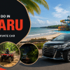 private car Singapore to Desaru